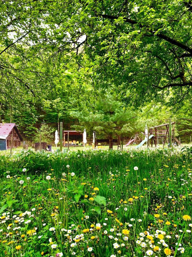 House In The Woods Bed & Breakfast Resita Exterior photo