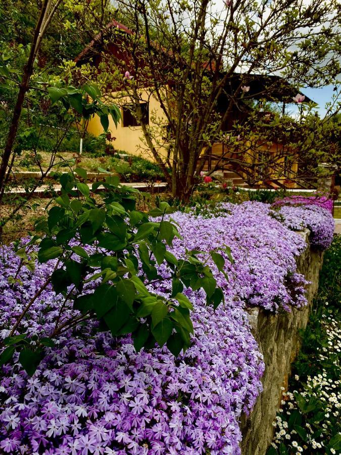 House In The Woods Bed & Breakfast Resita Exterior photo